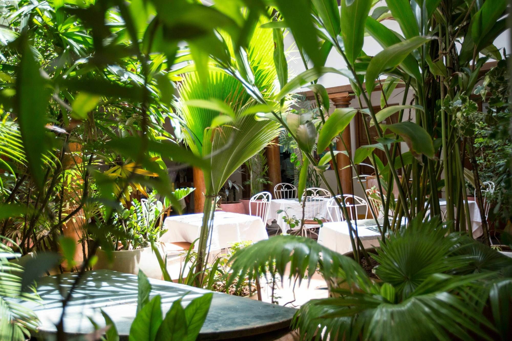 Maison Perumal Pondicherry - A Cgh Earth Experience Exterior foto